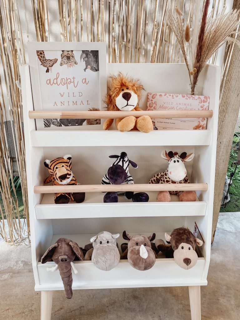 Bookshelf with stuffed animals